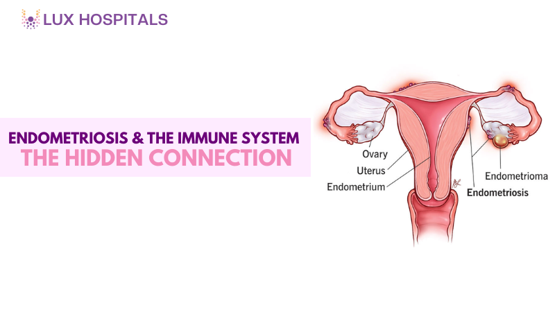 Endometriosis and the Immune System: The Hidden Connection